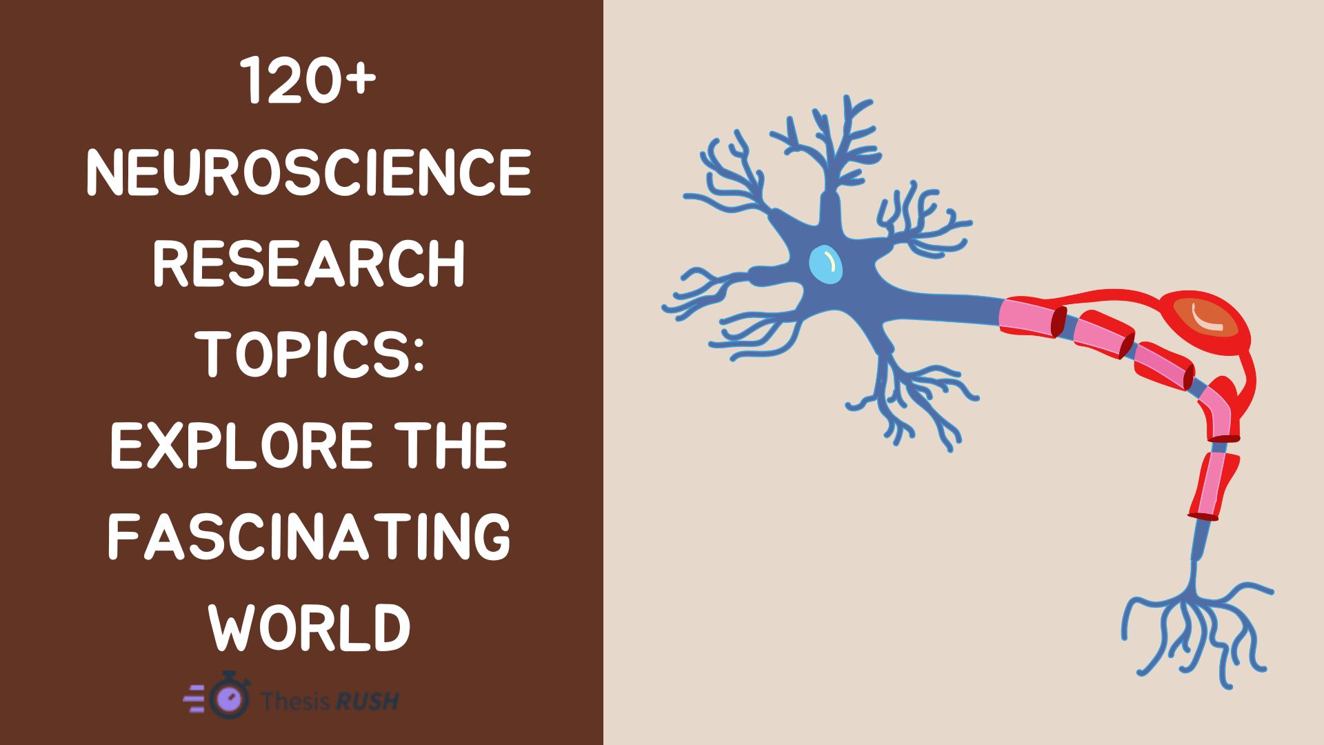 120+ Neuroscience Research Topics: Explore the Fascinating World