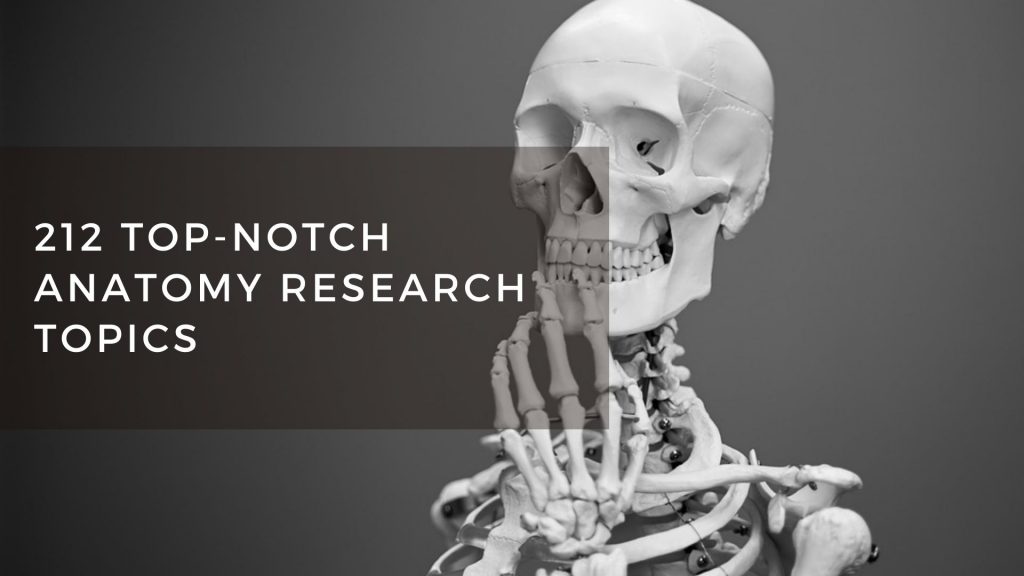 Anatomy visual data 4
